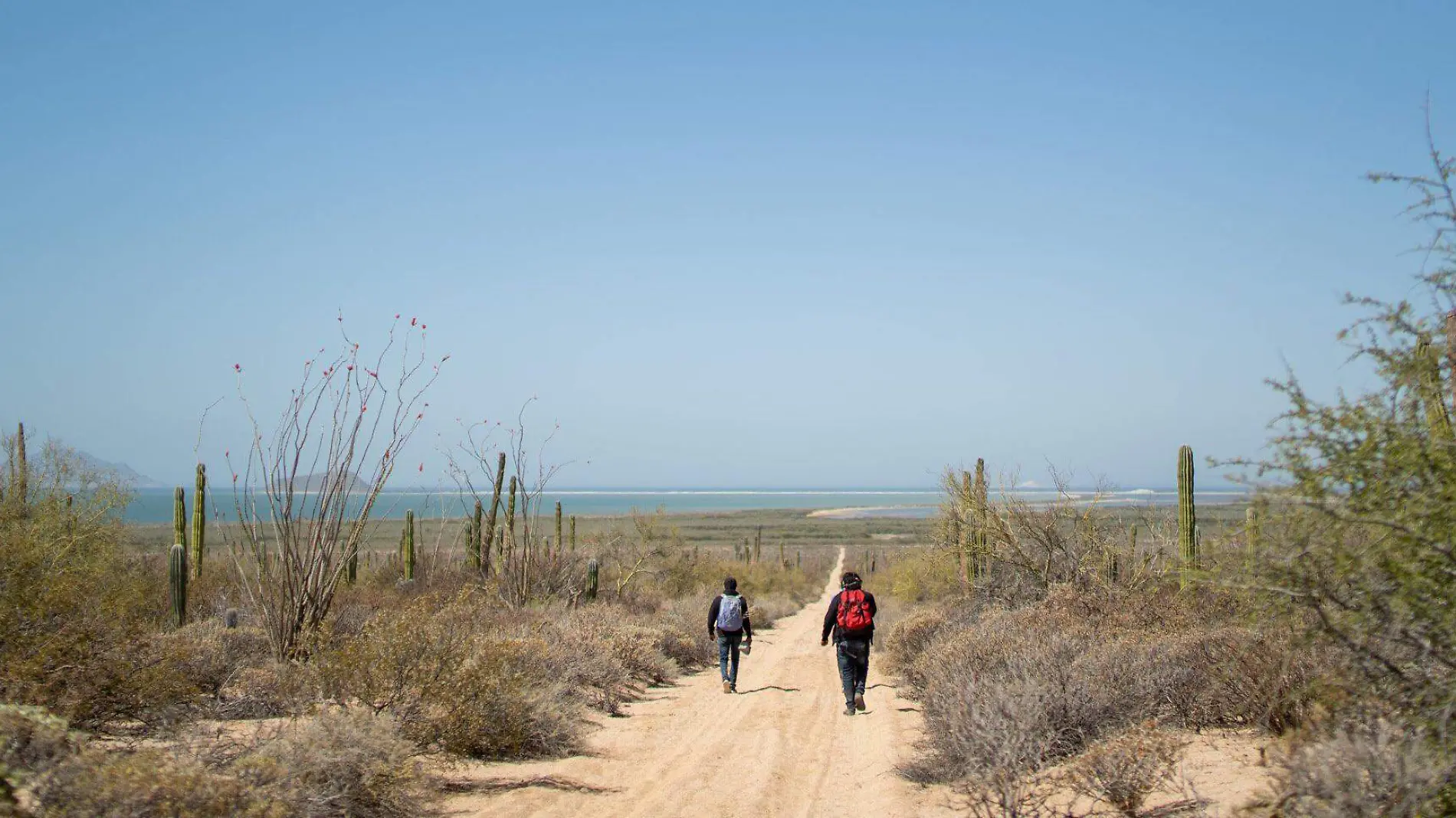 Ecoturismo en Punta Chueca